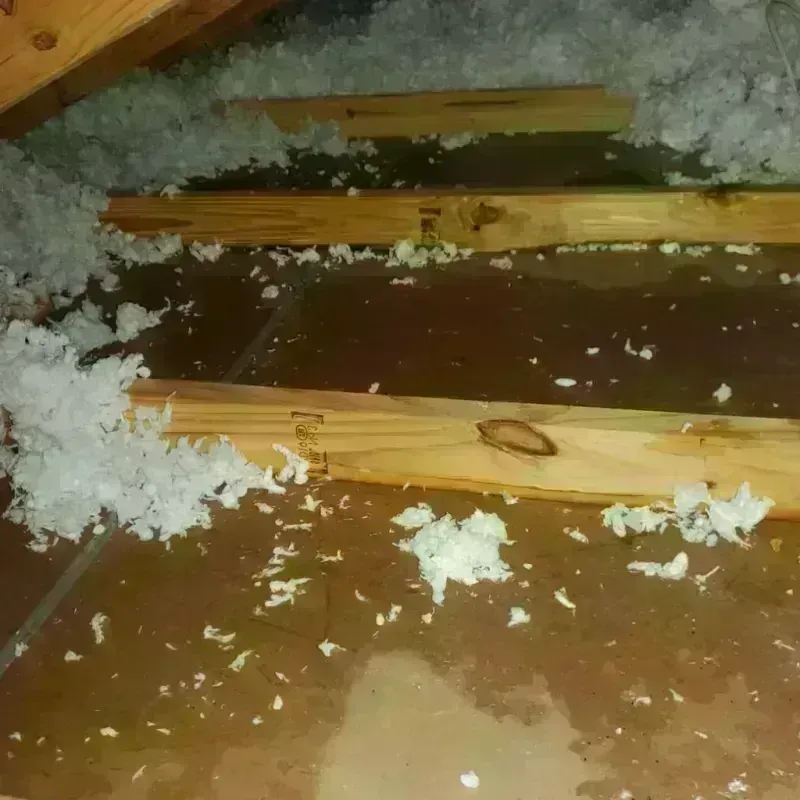 Attic Water Damage in Fowler, IN